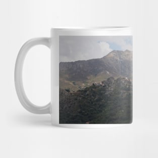 COR_0263 Mug